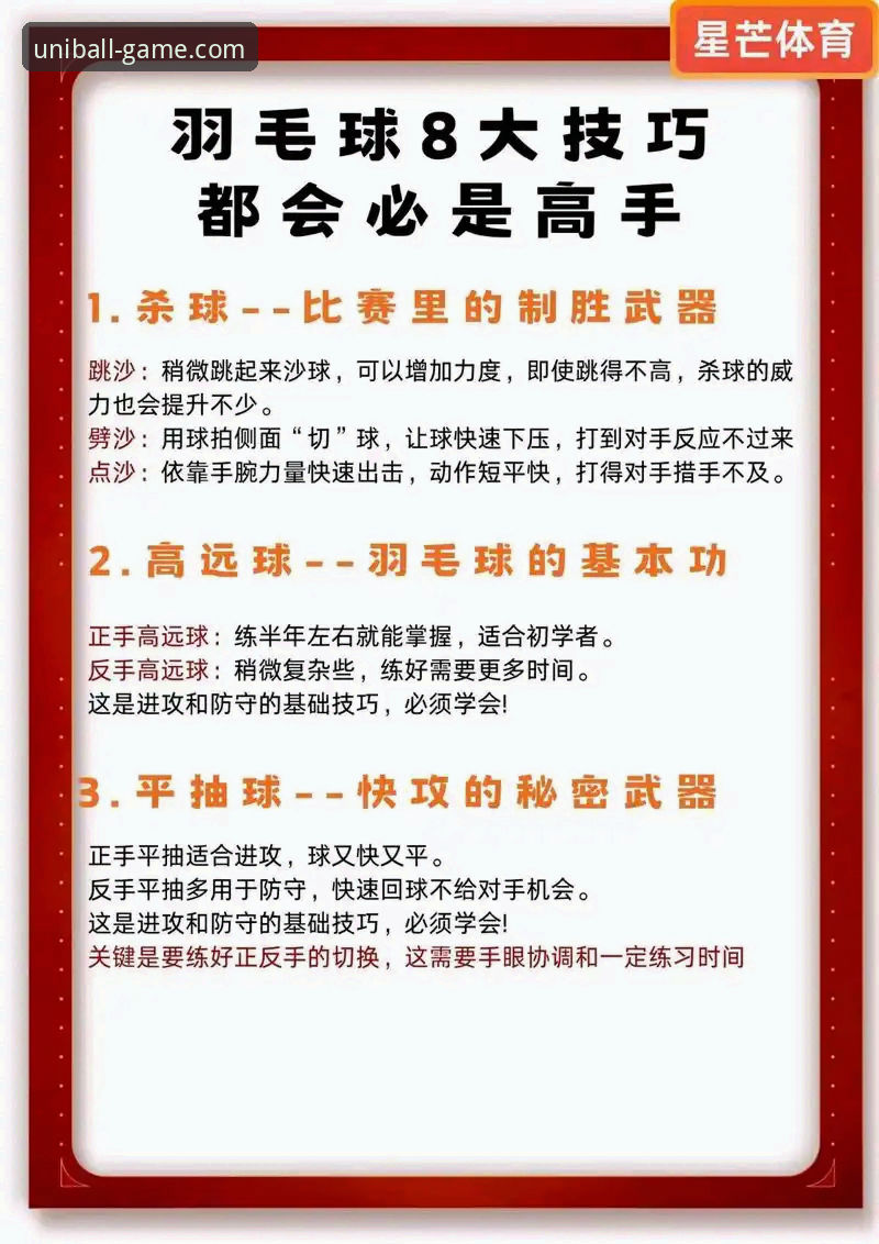 提升观赛体验：有球体育高清赛事实用技巧与必备知识